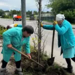 У Вінниці висадили понад 160 дерев у двох районах міста