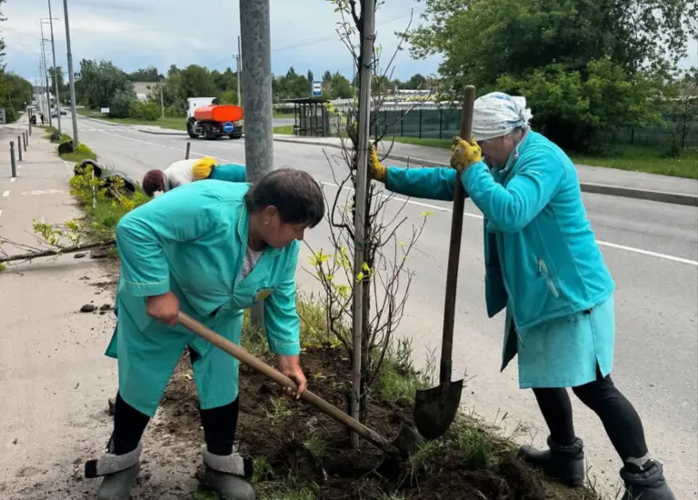 У Вінниці висадили понад 160 дерев у двох районах міста