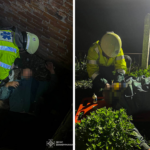 На Вінниччині рятувальники витягли чоловіка з триметрової жомової ями