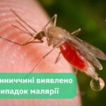 Випадок малярії підтвердили на Вінниччині: жінка заразилась на Занзібарі