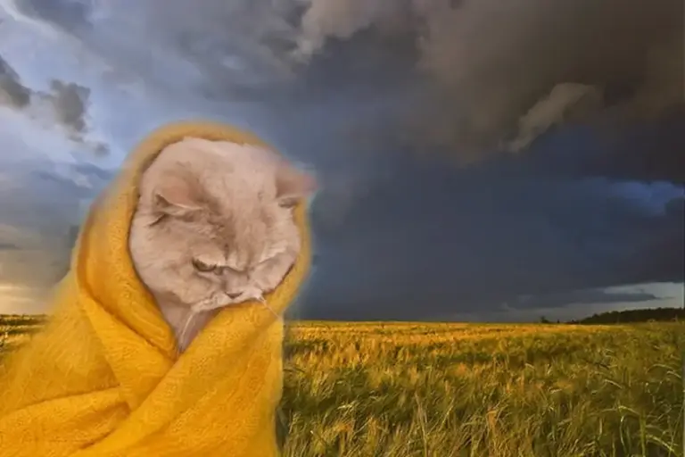 Температура знизиться до +6 градусів: стала відома дата сильного похолодання