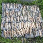 У Жмеринському районі чоловік наловив риби на понад 140 тисяч гривень