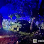 Смертельна ДТП у Тульчинському районі: загинуло двоє людей
