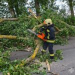Негода на Вінниччині: рятувальники прибирали повалені вітром дерева