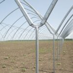 На Вінниччині будують теплицю для вирощування суниці (ФОТО)