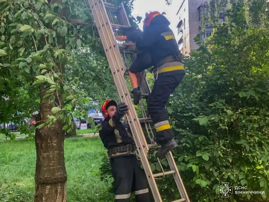Ласував черешнями: у Вінниці рятувальники зняли 7-річного хлопчика з дерева (ФОТО)
