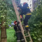 Ласував черешнями: у Вінниці рятувальники зняли 7-річного хлопчика з дерева (ФОТО)