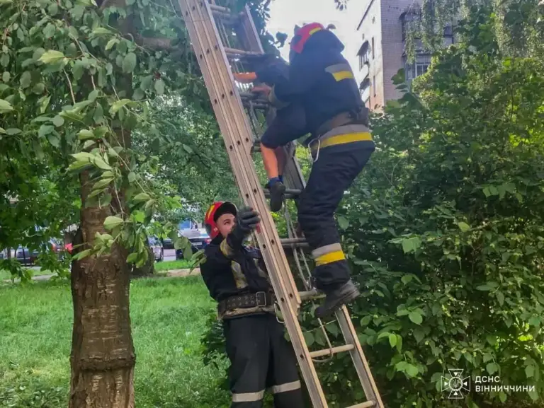 Ласував черешнями: у Вінниці рятувальники зняли 7-річного хлопчика з дерева (ФОТО)