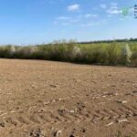 Біля водойм на Вінниччині невідомі розорали прибережні смуги