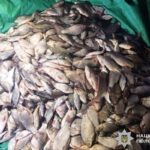 Сітки, човни, кілограми здобичі: на Вінниччині продовжується боротьба з браконьєрами