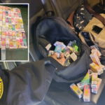 Замість вільного проїзду — протокол: на Вінниччині затримали порушника з Молдови