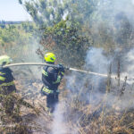 На Вінниччині минулої доби горіли будівлі, суха трава та сміття (ФОТО)
