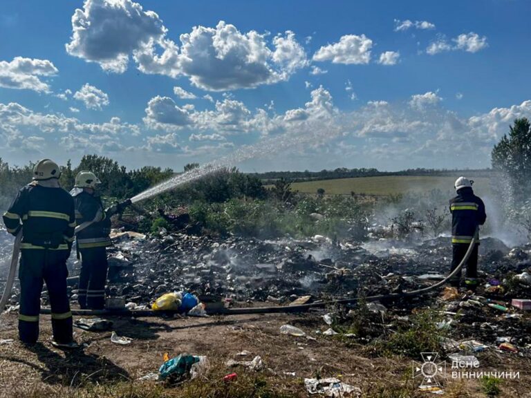 Вогнем обпалено понад 2 га землі: на Вінниччині горіло у 3 районах області