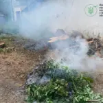 Спалював траву біля дитсадка: мешканця Ободівської громади оштрафували екологи