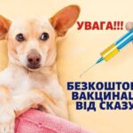У Вінниці безкоштовно вакцинуватимуть домашніх тварин від сказу
