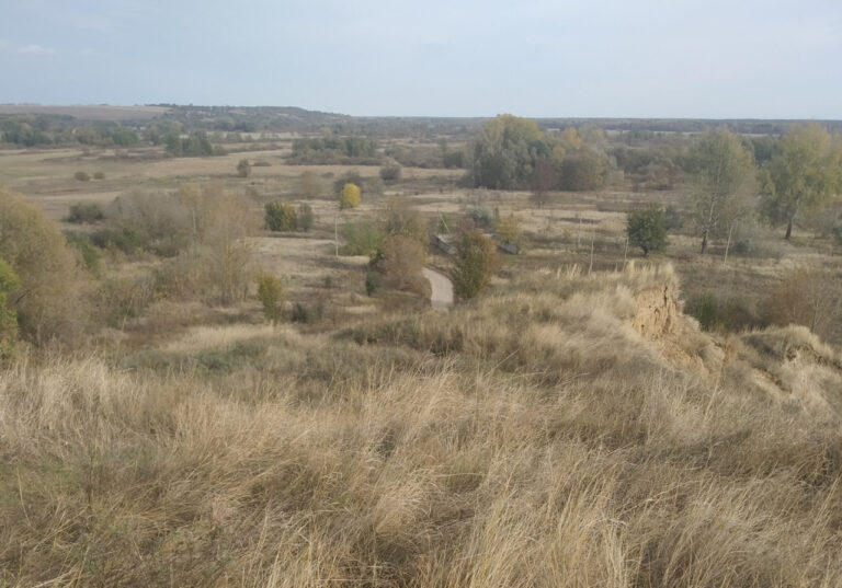 Збережемо красу: у селі на Вінниччині з’явиться нова пам’ятка природи