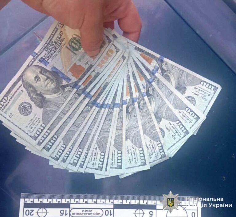 Заснув і залишився без грошей: на Вінниччині хлопець викрав 1600 доларів у знайомого