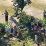 Як мало треба для щастя: українське відео з літніми розвагами підірвало TikTok