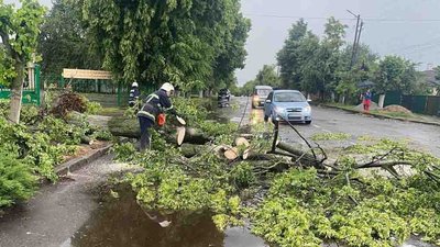 На Вінниччині через негоду знеструмлено понад 60 населених пунктів