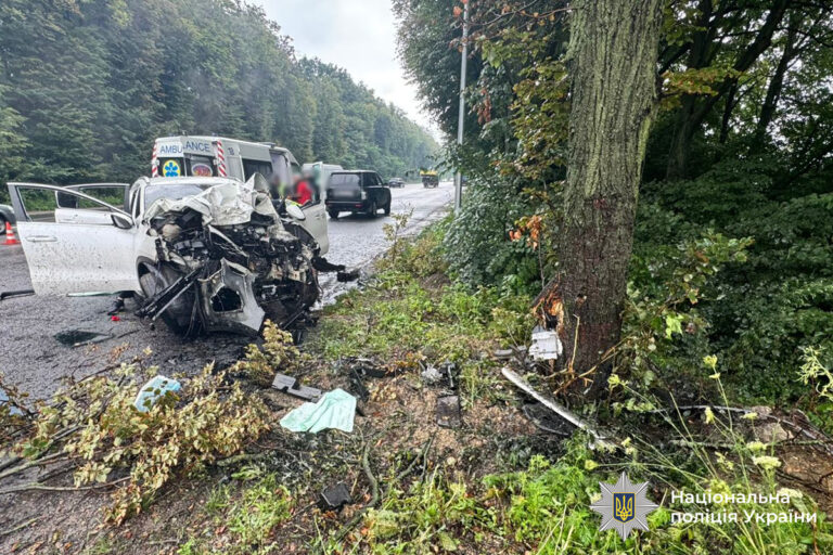 Поблизу села Щітки Вінницького району трапилася смертельна аварія: що відомо