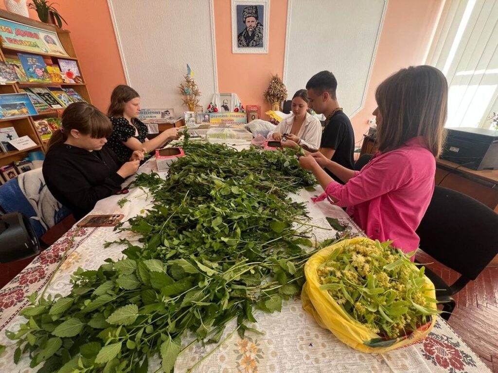 Школярі з Вінниччини власноруч готують травяні чаї для захисників