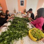 Школярі з Вінниччини власноруч готують травяні чаї для захисників