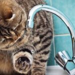 16 липня у Вінниці понад 20 вулиць залишаться без води: перелік адрес