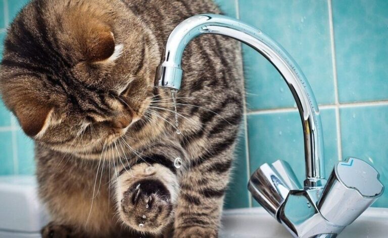 16 липня у Вінниці понад 20 вулиць залишаться без води: перелік адрес