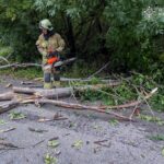 Негода завдала клопоту: на Вінниччині стихія поламала дерева та підтопила будинки