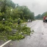 Негода розгулялась на повну: що відбувалось у місті та селах Вінниччини (ФОТО)