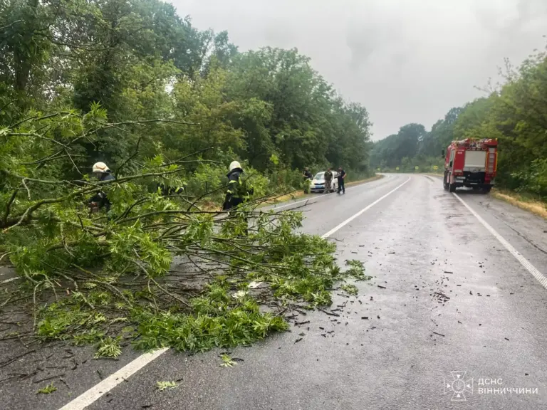 Негода розгулялась на повну: що відбувалось у місті та селах Вінниччини (ФОТО)
