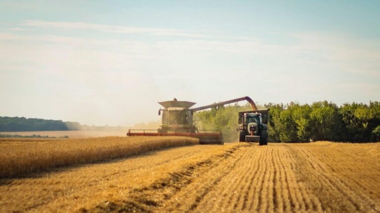 На Вінниччині зібрали 8% ранніх зернових: врожайність перевищує минулорічну