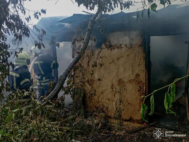 На Вінниччині вогонь із поля перекинувся на подвір’я