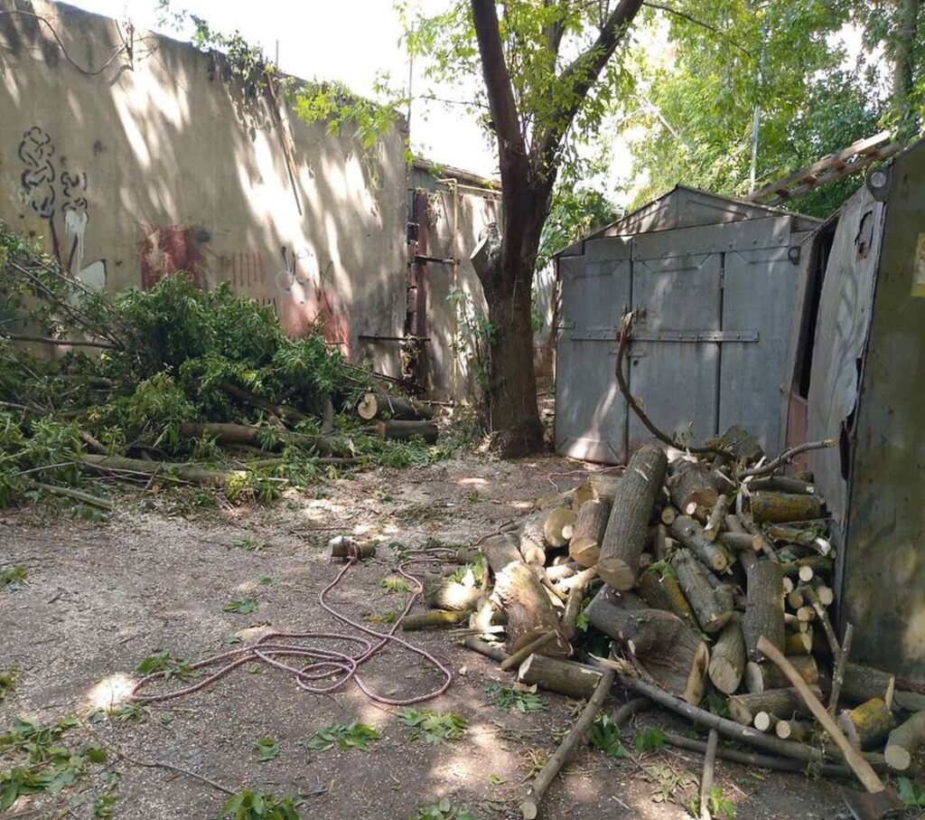 У Вінниці оштрафували чоловіка за самовільну обрізку дерев