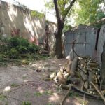 У Вінниці оштрафували чоловіка за самовільну обрізку дерев