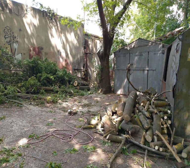 У Вінниці оштрафували чоловіка за самовільну обрізку дерев
