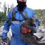 Ракетна атака на Київ: зруйновано будинок, є загиблі та поранені