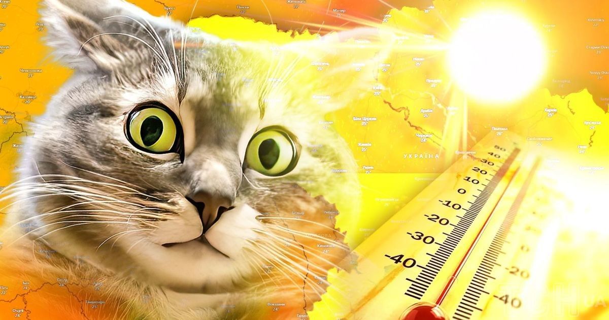 На Україну насувається спека: де і коли припече до +38°