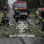 Дерева на дорогах і вода в підвалах: на Вінниччині вирувала негода