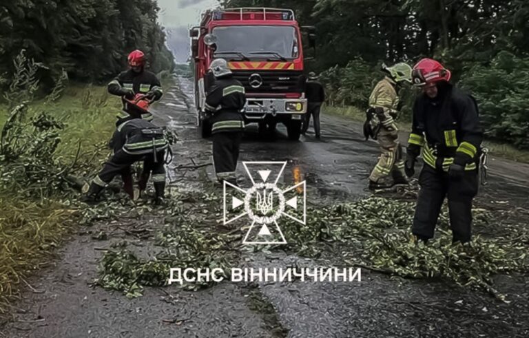 Дерева на дорогах і вода в підвалах: на Вінниччині вирувала негода