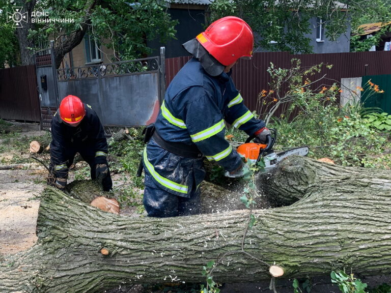 Стихія вдарила по Вінниччині: рятувальники працювали нон-стоп у п’яти громадах