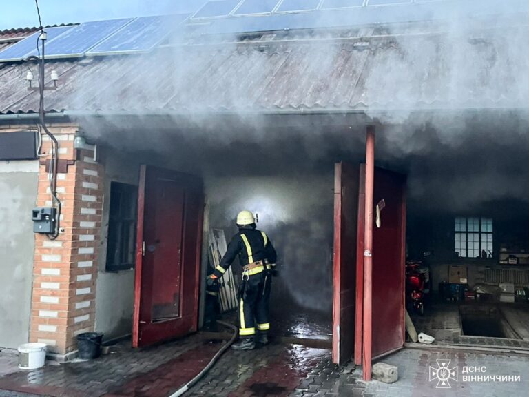 У Жмеринці горів гараж, а в Ладижині будинок: які наслідки пожеж на Вінниччині (ФОТО)