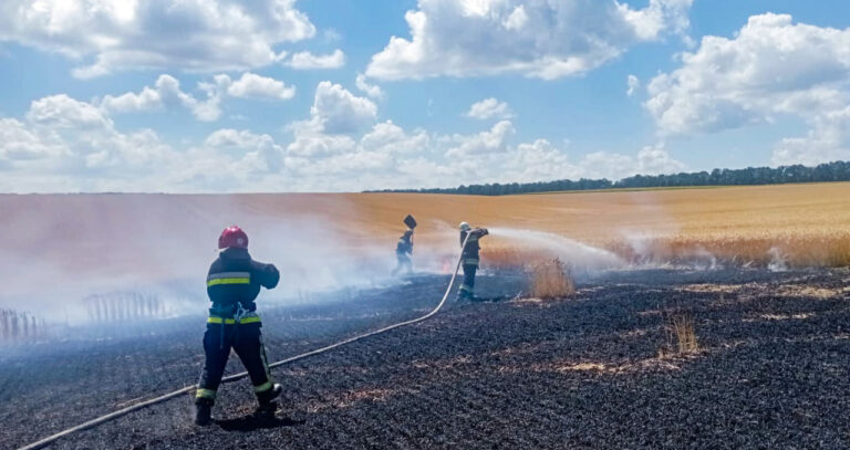 Спопеліло 2 гектари нового врожаю: на Вінниччині горіло пшеничне поле (ФОТО)