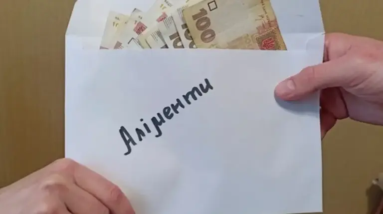 Борги за аліменти: скільки жителів Вінниччини заборгували своїм дітям