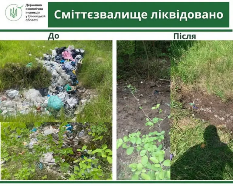 Стихійні сміттєзвалища у Вінниці: міськрада оперативно відреагувала