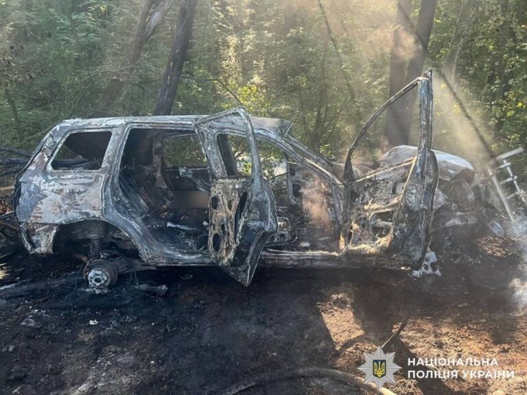 На Жмеринщині автомобіль згорів після з’їзду в кювет, загинули водій і пасажир