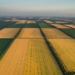 Скандал із землею: прокуратура вимагає повернення ділянки НААН поблизу Агрономічного на Вінниччині