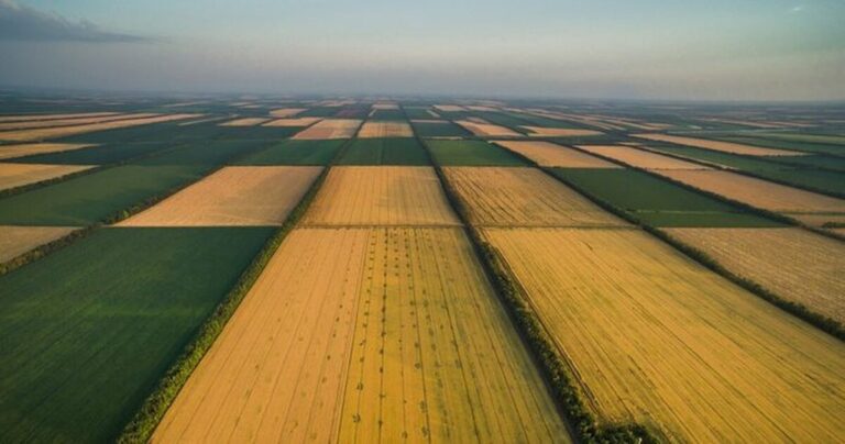 Скандал із землею: прокуратура вимагає повернення ділянки НААН поблизу Агрономічного на Вінниччині
