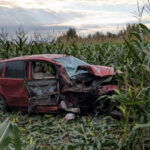 Автомобілі у полі кукурудзи, а водії без прав: у Вінницькому районі трапилася ДТП