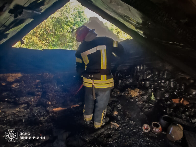 Сінник і будинок у вогні: на Вінниччині рятувальники приборкали три пожежі за день
